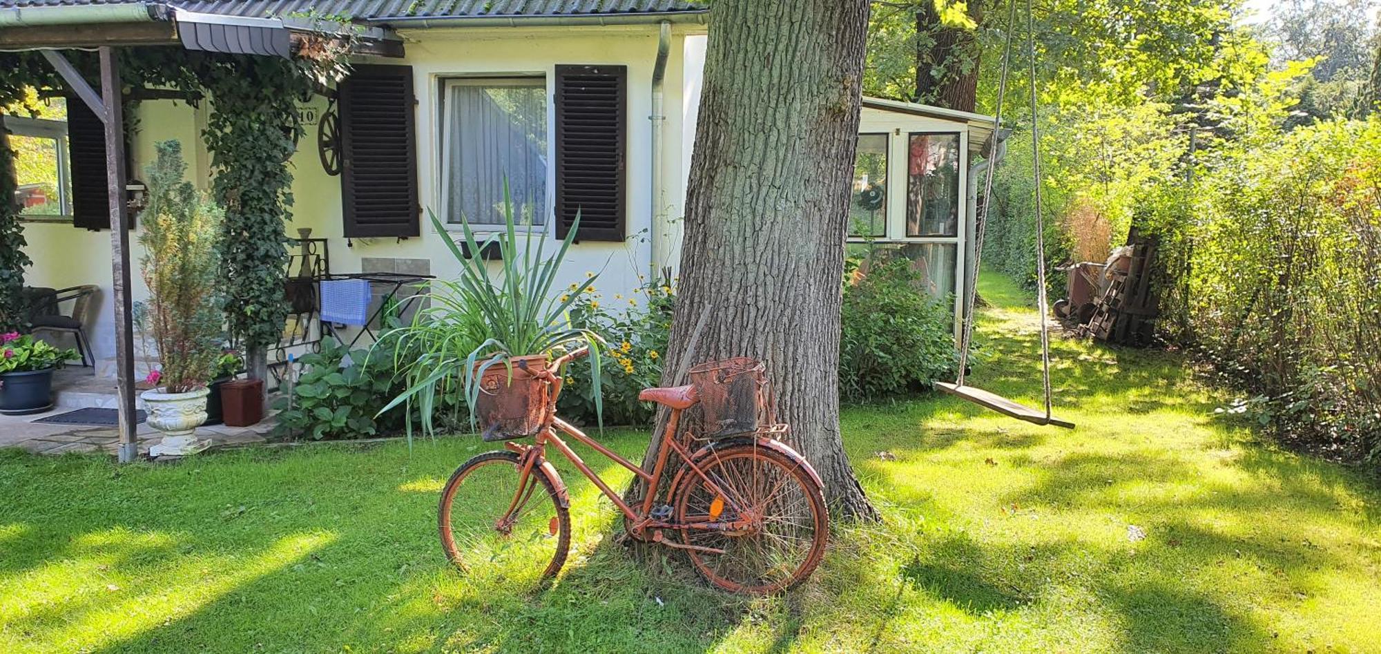 Ferienhaus Schatz Siedlung Schonwalde Buitenkant foto